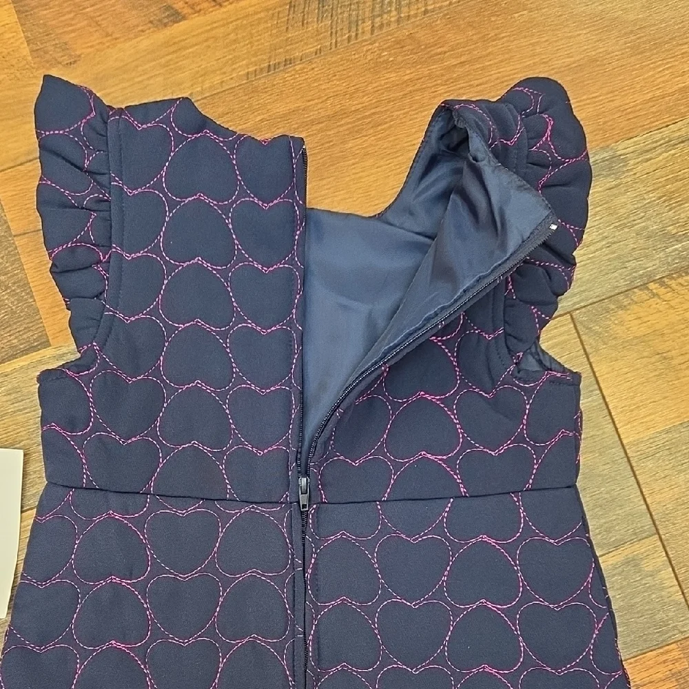 Rare Editions Navy Blue And Pink Heart Embroidery Ruffle Shoulder Dress, Size 4T